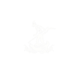 Tours y Excursiones Guiadas desde CDMX a los Mejores Destinos